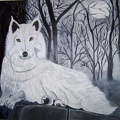 Weißer-Wolf   €135