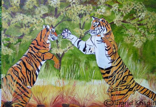 Tiger-beim-Spiel   €150